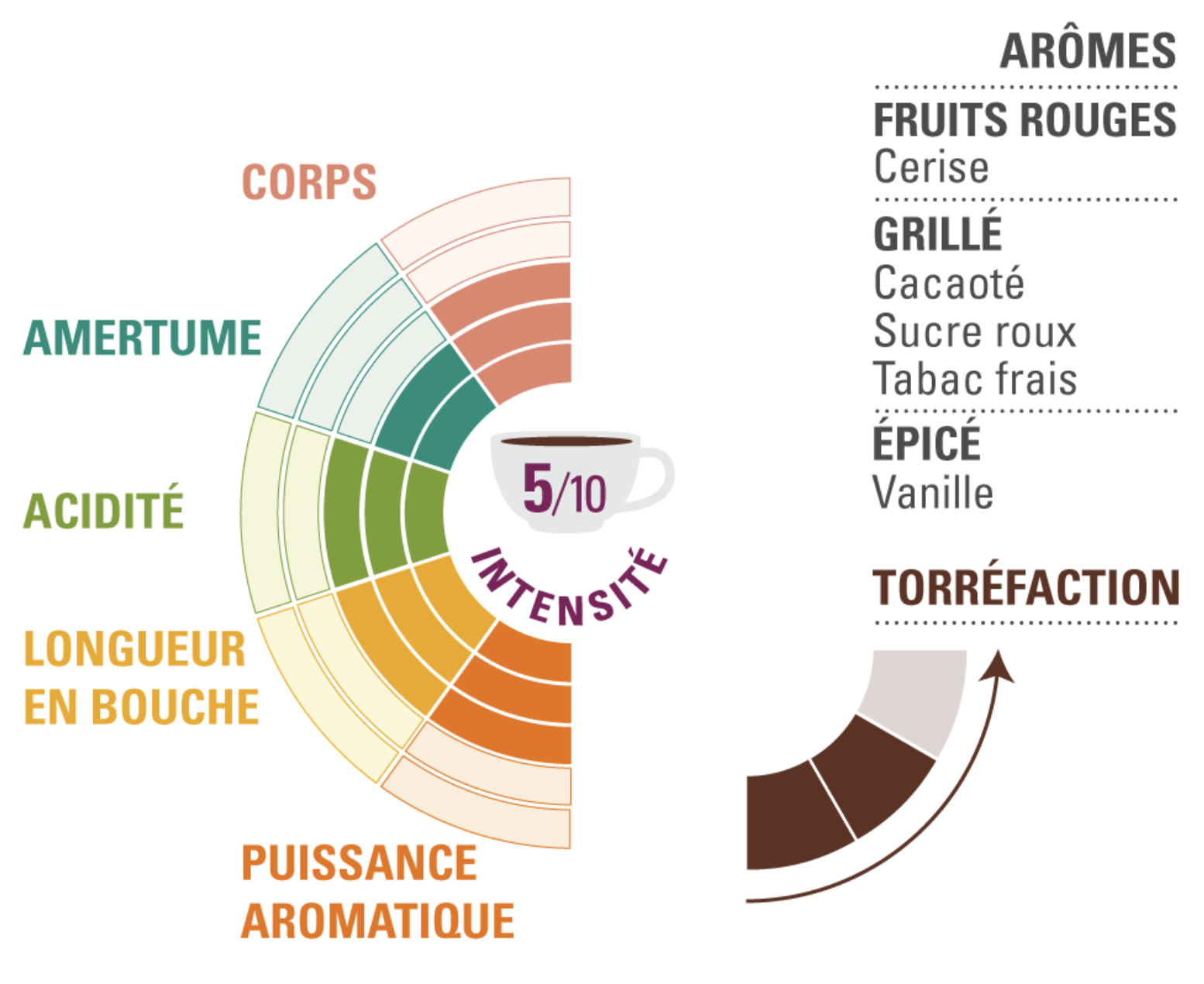 arabica burundi ethiquable profil dégustation