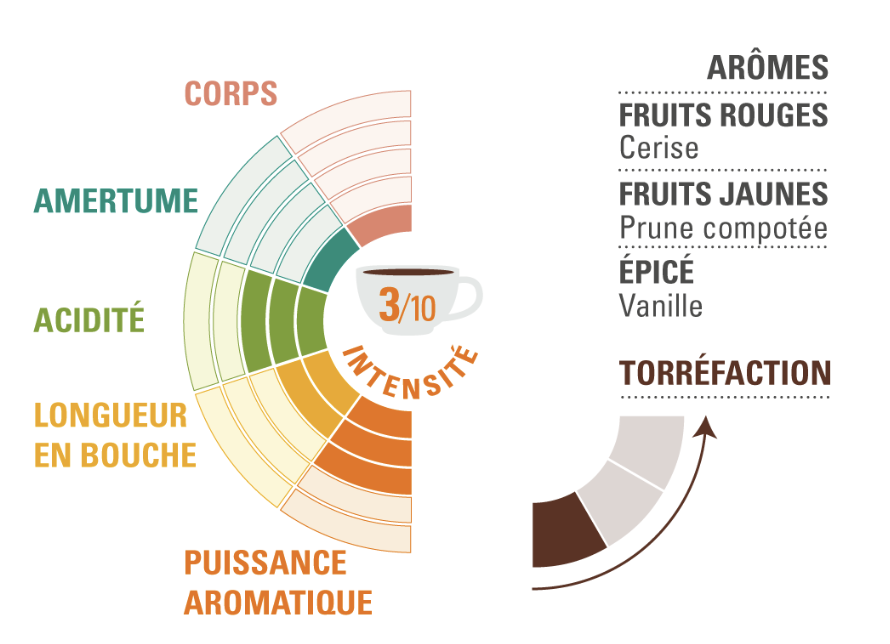 profil dégustation arabica pérou ethiquable