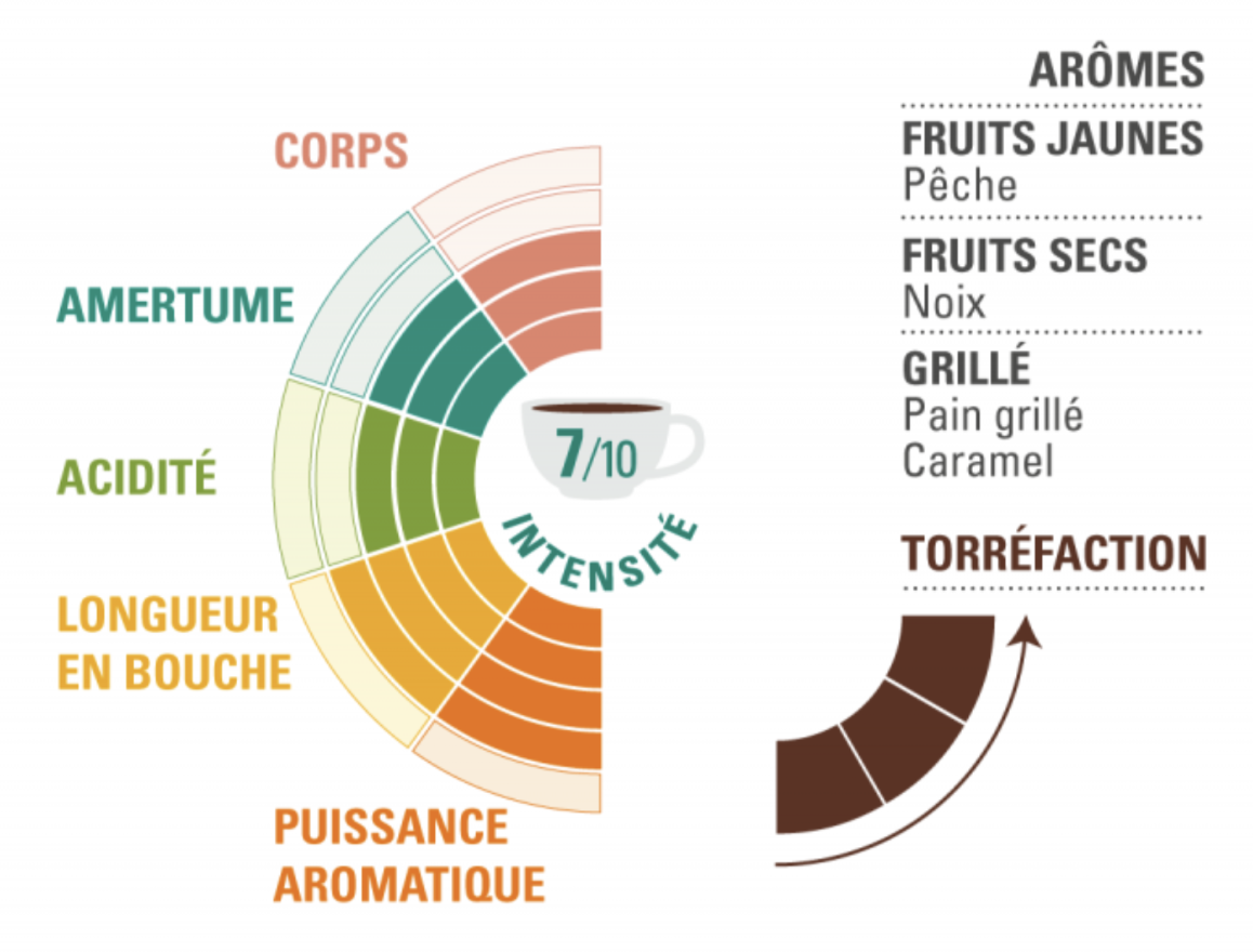 café équateur bio équitable grain profil dégustation