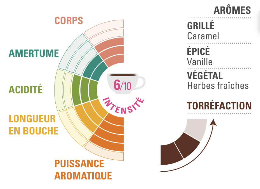 Arabica moulu Bolivie ethiquable profil dégustation