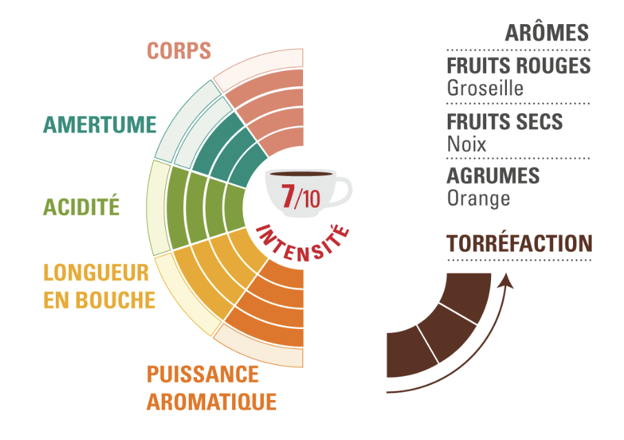 Arabica moulu Colombie ethiquable profil dégustation