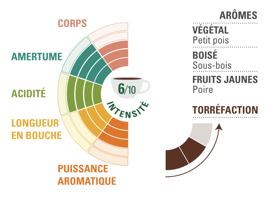 Arabica moulu Congo ethiquable profil dégustation