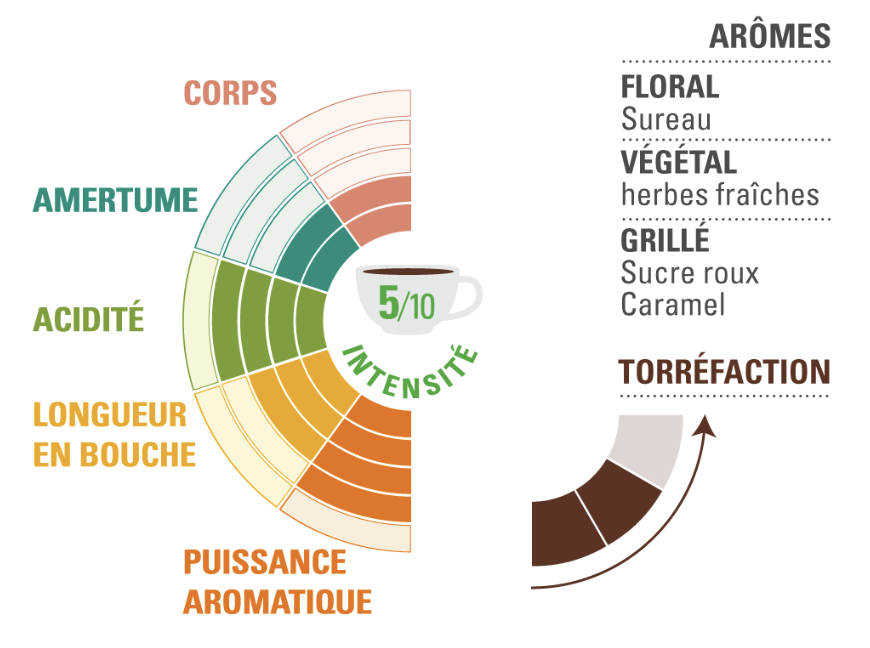 Arabica moulu Équateur profil dégustation