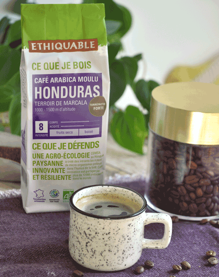 café Honduras bio équitable tasse