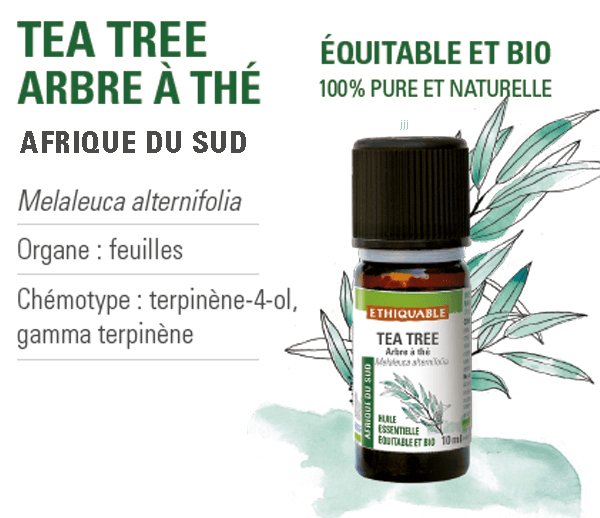 Huile Essentielle de Tea Tree Biologique