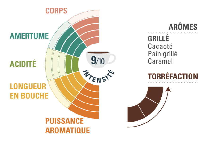 Expresso en grain ethiquable profil dégustation