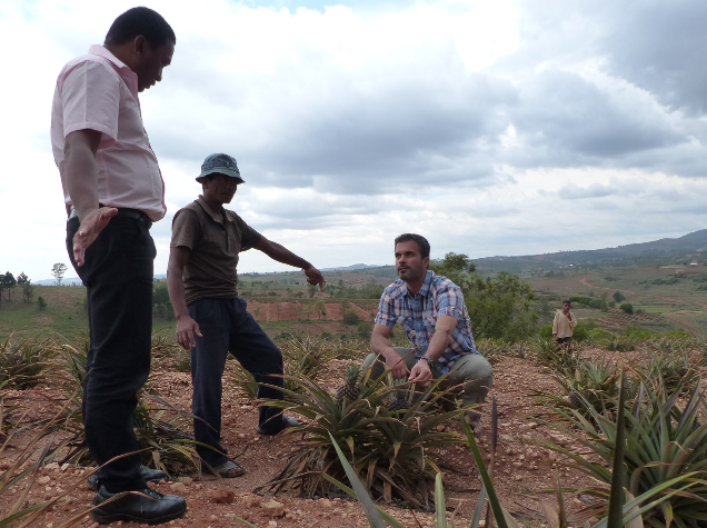 En images : le trafic du bois de rose bat son plein à Madagascar