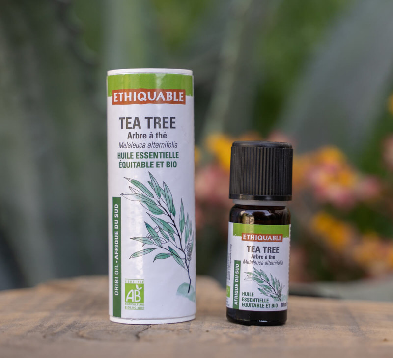 Huile essentielle de Tea Tree - 100% pure et naturelle - équitable