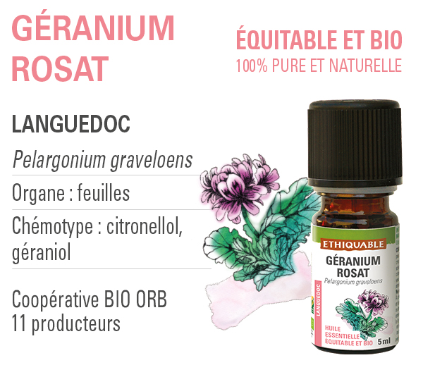 Huile essentielle Géranium Rosat bio française - Commerce Equitable