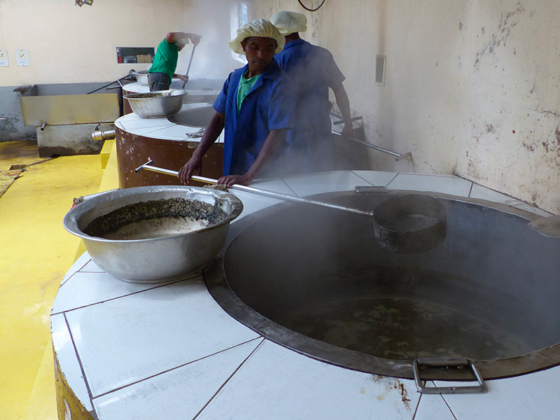 Transformation du sucre de canne à Madagascar