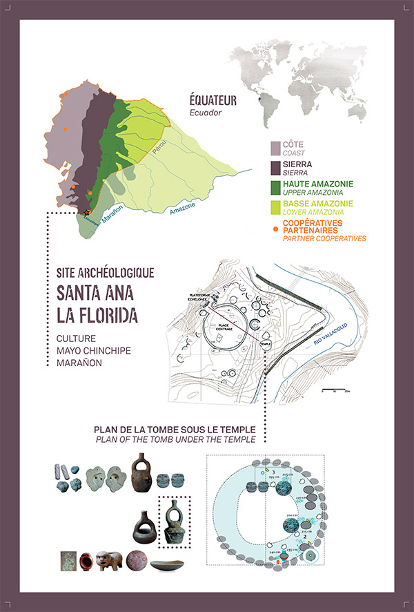 Découverte des origines du cacao