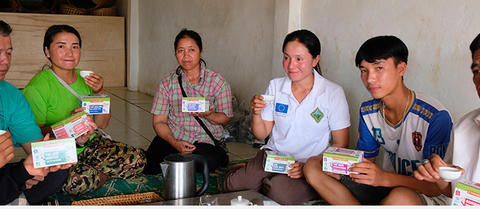 Production thé bio en agroforesterie