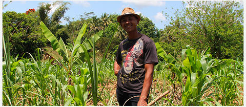 Transformation du sucre de canne à Madagascar